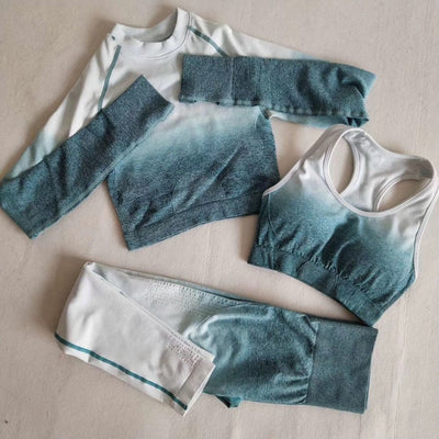 Ombre Seamless Leggings